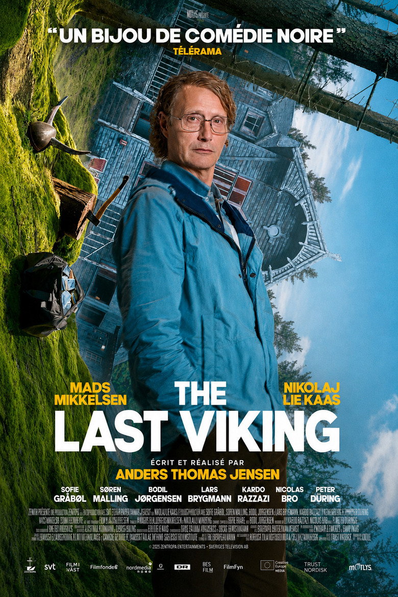 Affiche du film The Last Viking