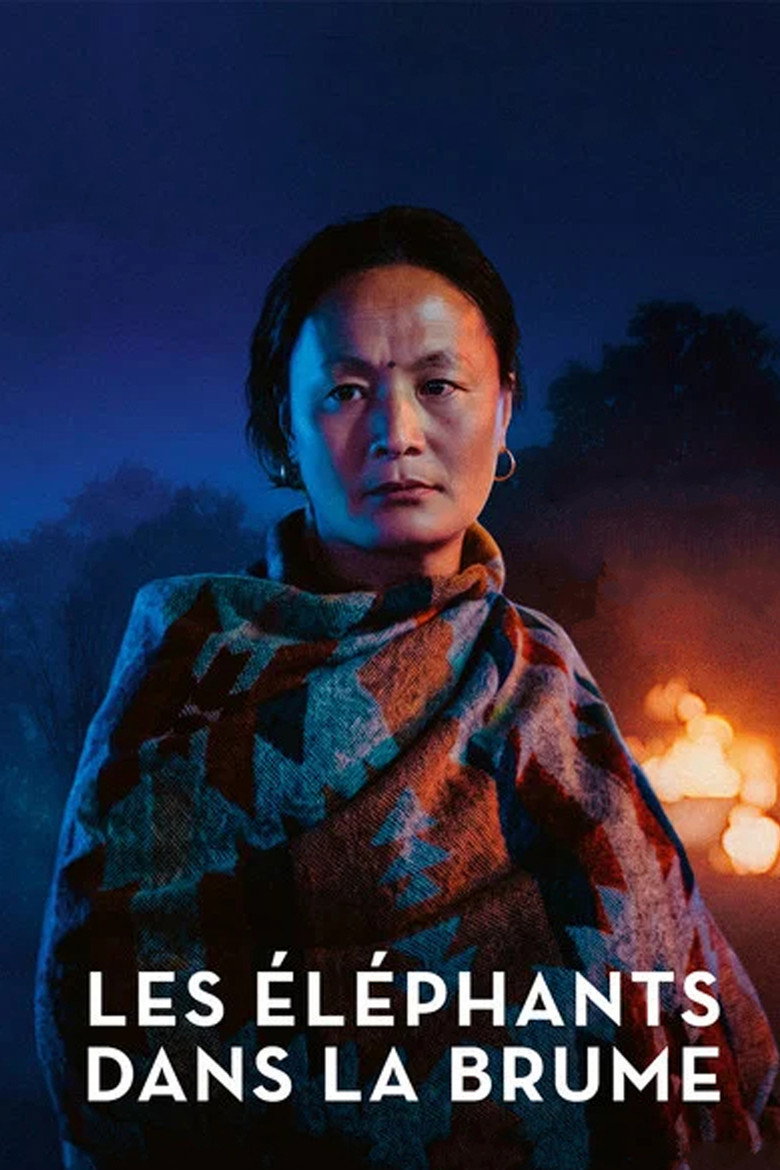 Affiche du film Les Éléphants dans la brume