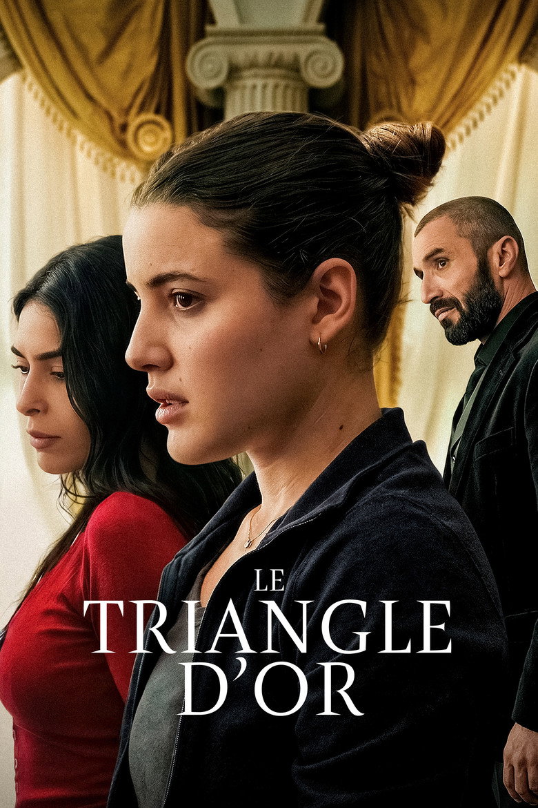 Affiche du film Le Triangle d'or