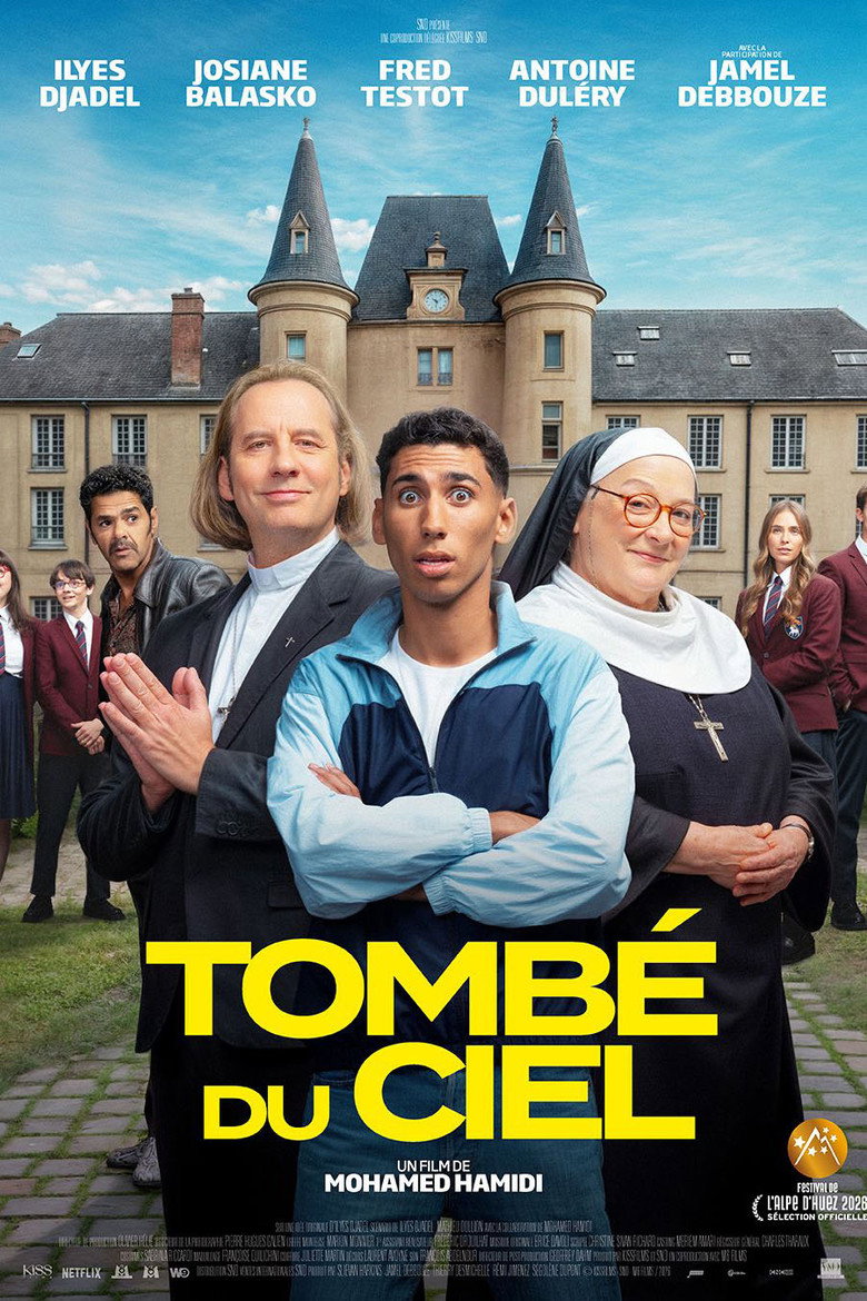 Affiche du film Tombé du ciel